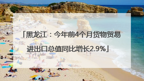 黑龙江：今年前4个月货物贸易进出口总值同比增长2.9%
