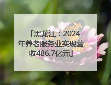 黑龙江：2024年养老服务业实现营收486.7亿元