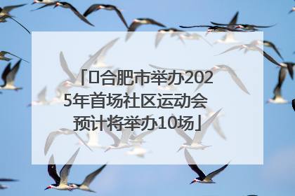 ﻿合肥市举办2025年首场社区运动会 预计将举办10场
