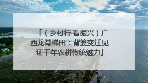（乡村行·看振兴）广西龙脊梯田：背篓变迁见证千年农耕传统魅力
