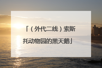 （外代二线）索斯托动物园的黑天鹅