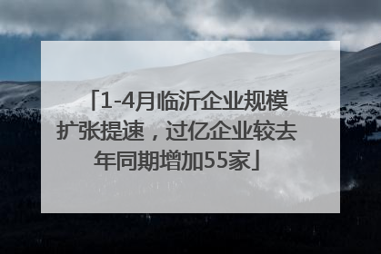 1-4月临沂企业规模扩张提速，过亿企业较去年同期增加55家