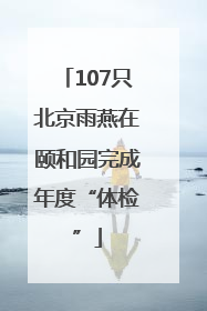 107只北京雨燕在颐和园完成年度“体检”
