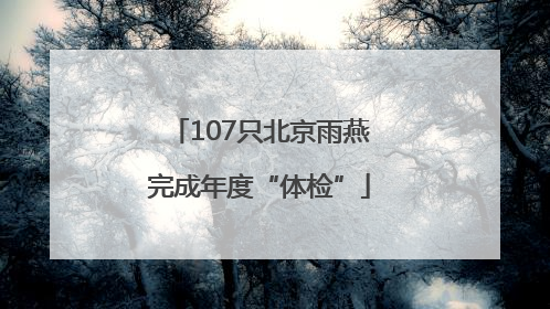 107只北京雨燕完成年度“体检”