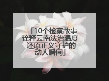 10个检察故事诠释云南法治温度 还原正义守护的动人瞬间