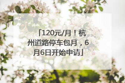 120元/月！杭州道路停车包月，6月6日开始申请