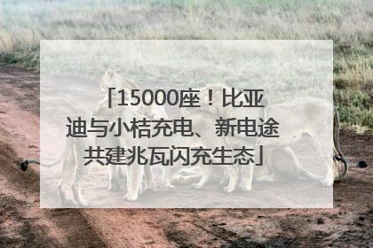 15000座！比亚迪与小桔充电、新电途共建兆瓦闪充生态