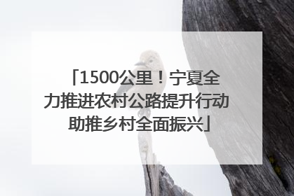 1500公里！宁夏全力推进农村公路提升行动 助推乡村全面振兴