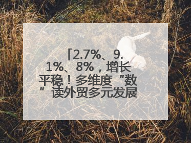 2.7%、9.1%、8%，增长平稳！多维度“数”读外贸多元发展、综合优势明显