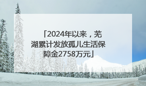 2024年以来，芜湖累计发放孤儿生活保障金2758万元
