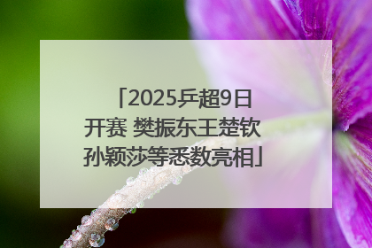 2025乒超9日开赛 樊振东王楚钦孙颖莎等悉数亮相