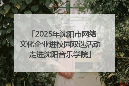 2025年沈阳市网络文化企业进校园双选活动走进沈阳音乐学院
