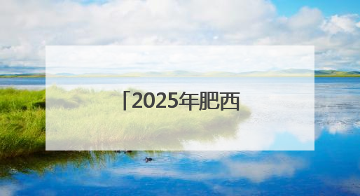 2025年肥西县中小学生乒乓球比赛圆满落幕