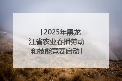 2025年黑龙江省农业春播劳动和技能竞赛启动