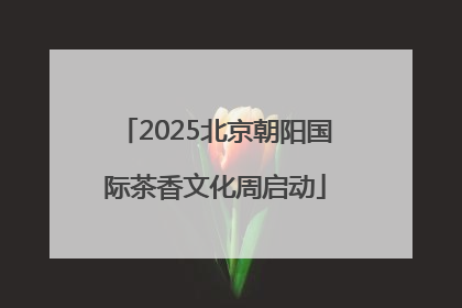 2025北京朝阳国际茶香文化周启动