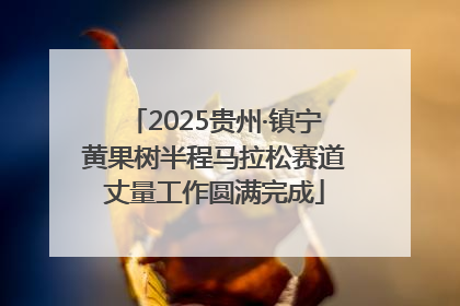 2025贵州·镇宁黄果树半程马拉松赛道丈量工作圆满完成