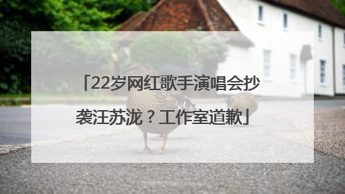 22岁网红歌手演唱会抄袭汪苏泷？工作室道歉