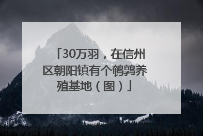 30万羽，在信州区朝阳镇有个鹌鹑养殖基地（图）