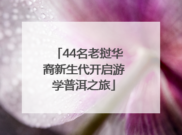 44名老挝华裔新生代开启游学普洱之旅
