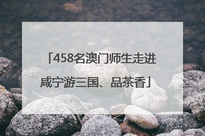 458名澳门师生走进咸宁游三国、品茶香