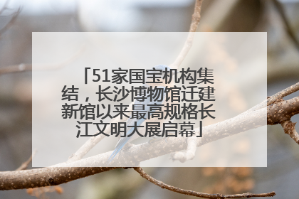 51家国宝机构集结，长沙博物馆迁建新馆以来最高规格长江文明大展启幕