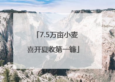 7.5万亩小麦喜开夏收第一镰