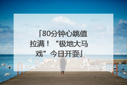 80分钟心跳值拉满！“极地大马戏”今日开耍