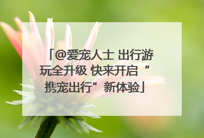@爱宠人士 出行游玩全升级 快来开启“携宠出行”新体验