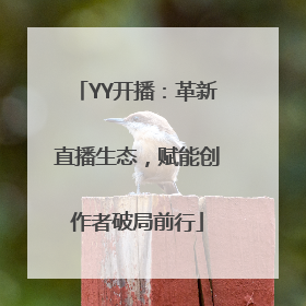 YY开播：革新直播生态，赋能创作者破局前行